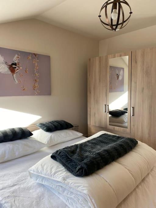 Le Martin Pecheur - Appartement Gérardmer Extérieur photo